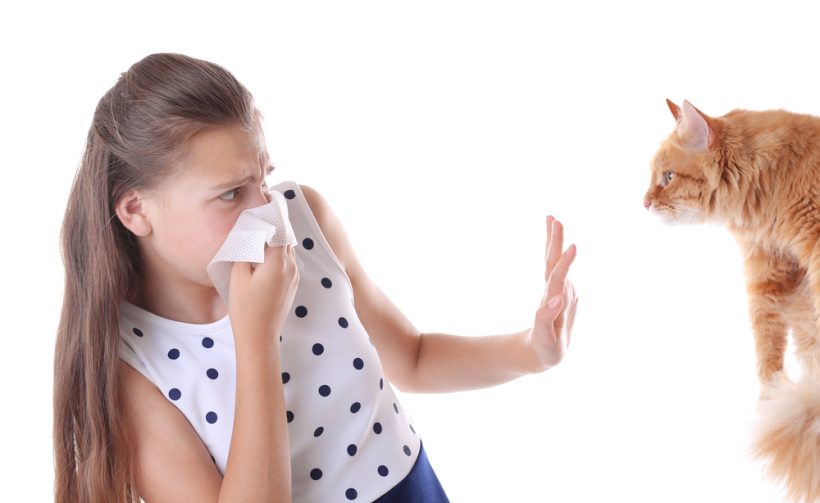 Allergie tegen dierenhaar. Wat is dat, wat zijn de symptomen en hoe moet ik het behandelen?